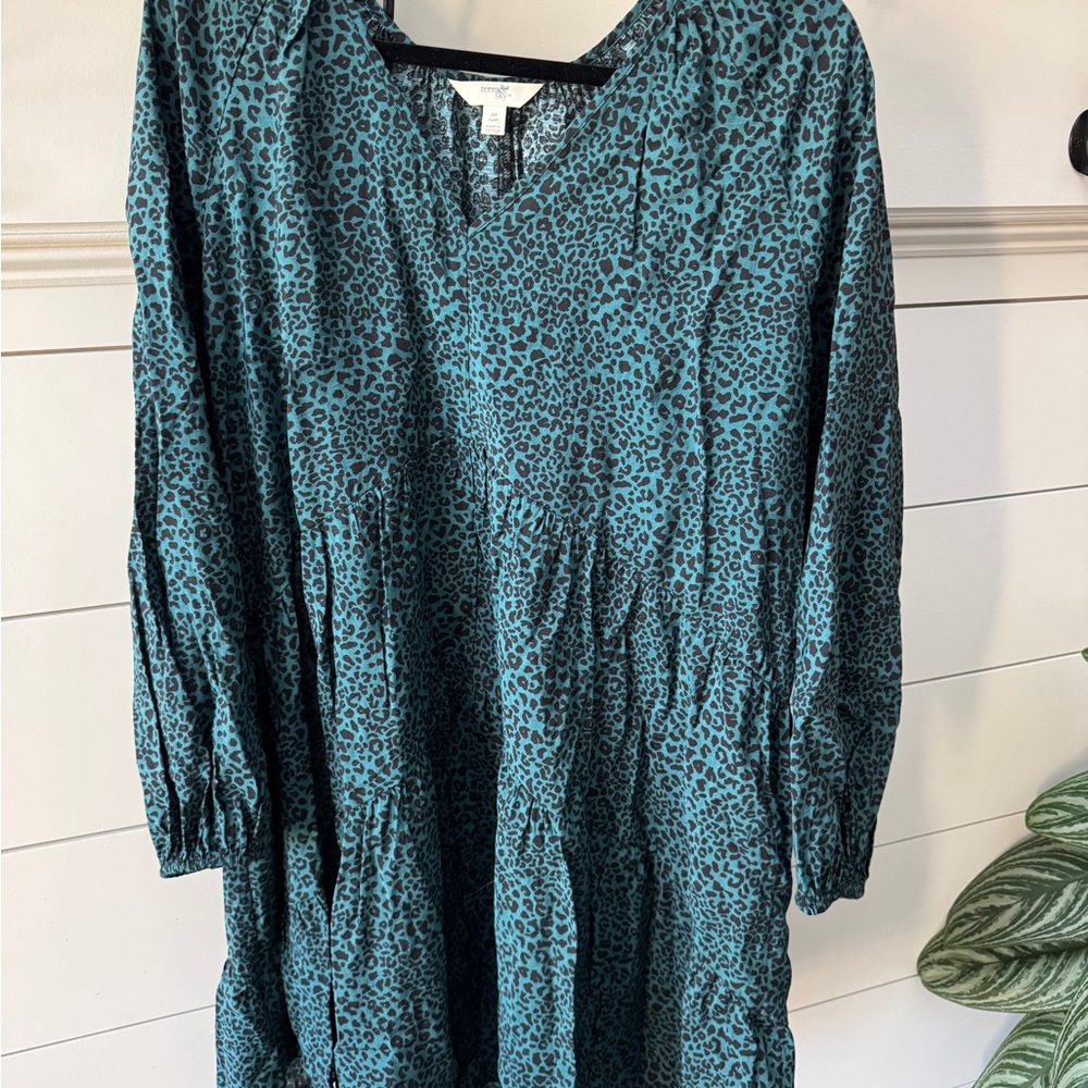 Terra & Sky Teal Animal Print Long Sleeve Dress
